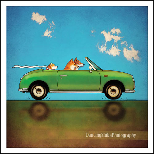 Sunday Drive